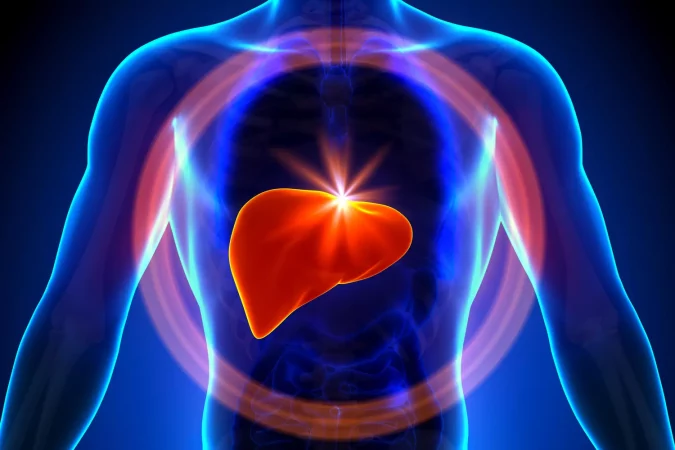 Toutes les astuces pour un foie en bonne santé !